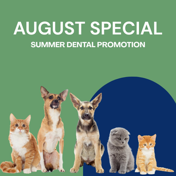 August Special