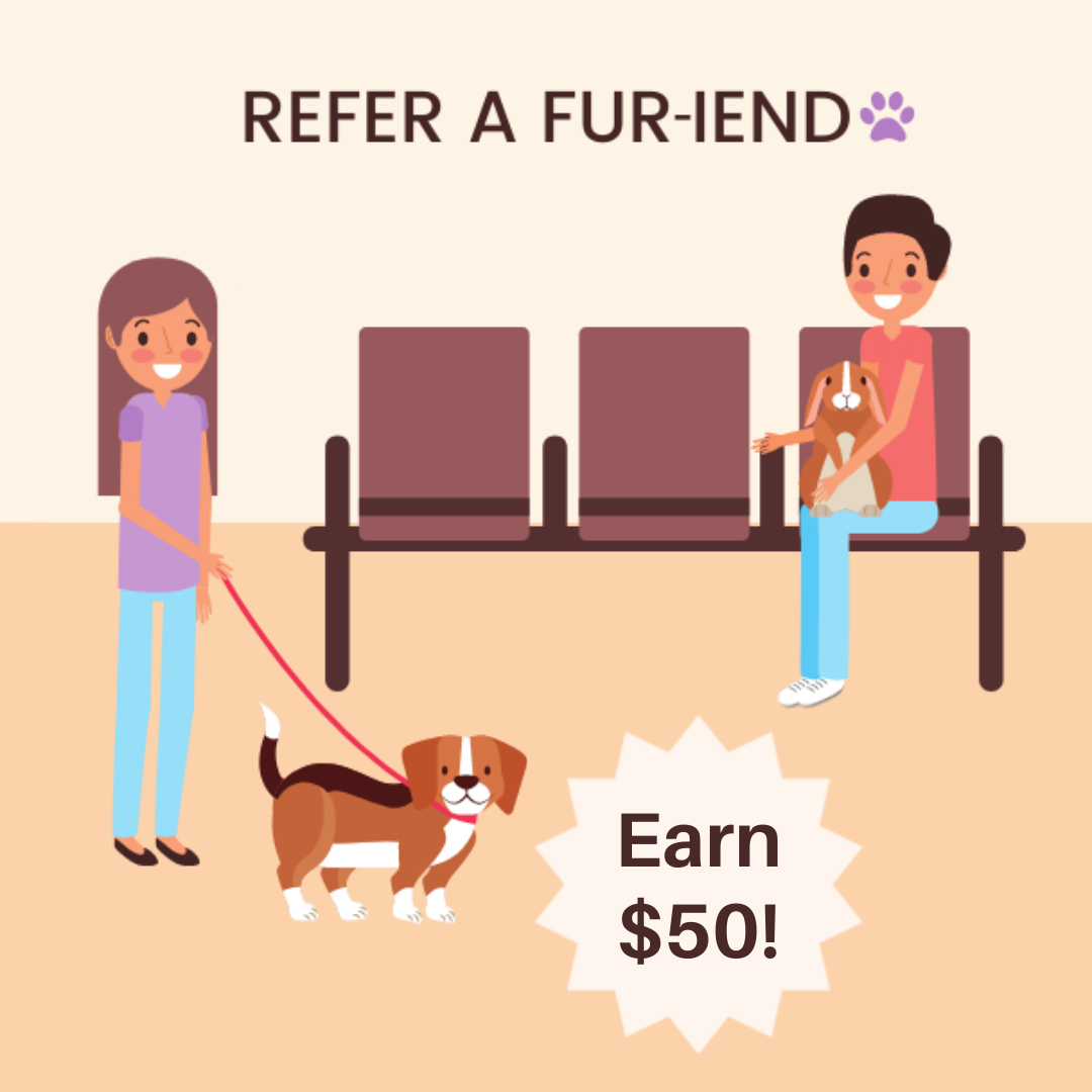 Referral Program